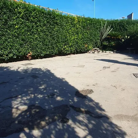 Daytona Palace 4* 卡索里亚